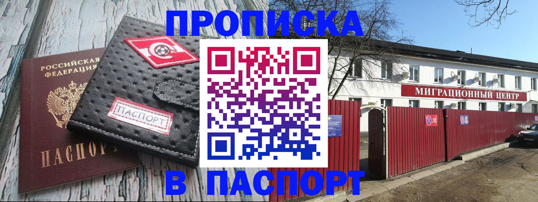 форма 3 в Камчатской области